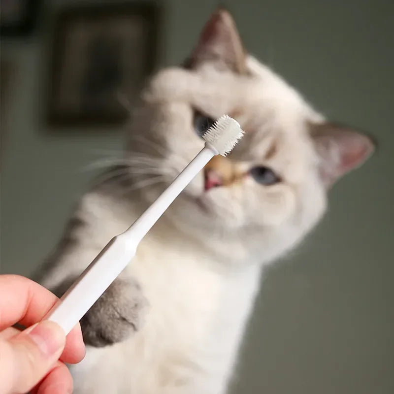 Soft Cat Toothbrush – Gentle Oral Care Brush for Pet Teeth Cleaning