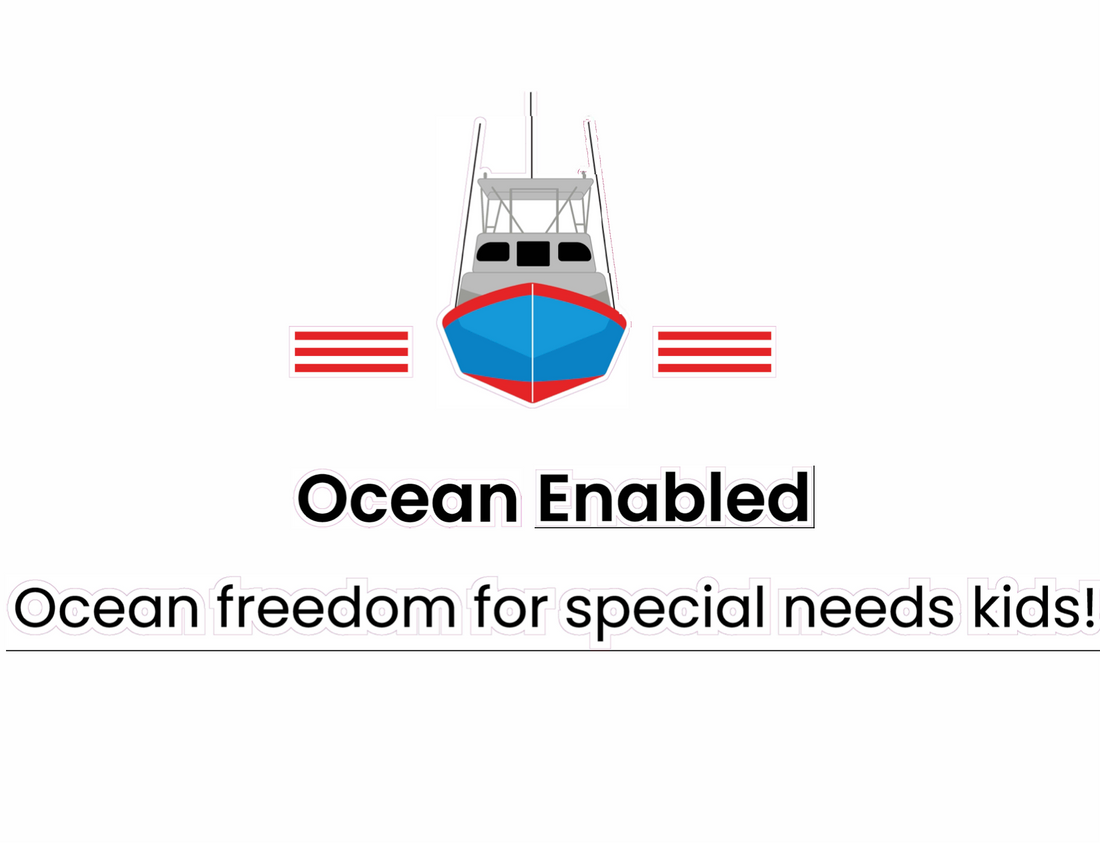 Where does the money go?