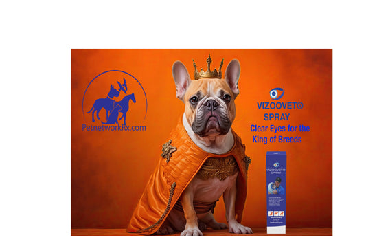 Eye diseases in pets can affect their vision, comfort, and quality of life. 🐶🐱