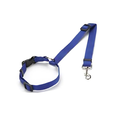 Solid Color 2-in-1 Pet Car Seat Belt & Adjustable Nylon Leash