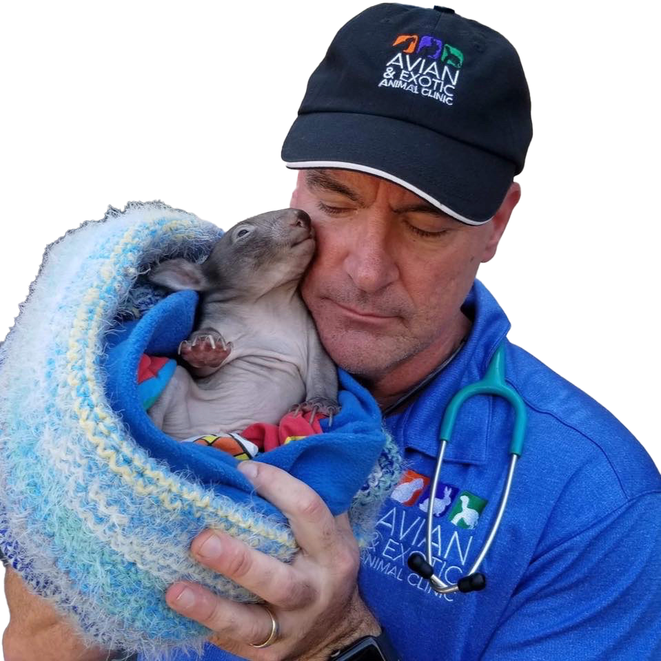 VIZOOVET PERFECT DROP Eye Mist 20ml - All Major Dry Eye Symptoms