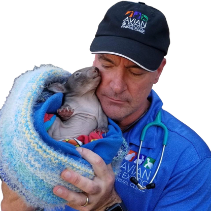 VIZOOVET PERFECT DROP Eye Mist 20ml - All Major Dry Eye Symptoms