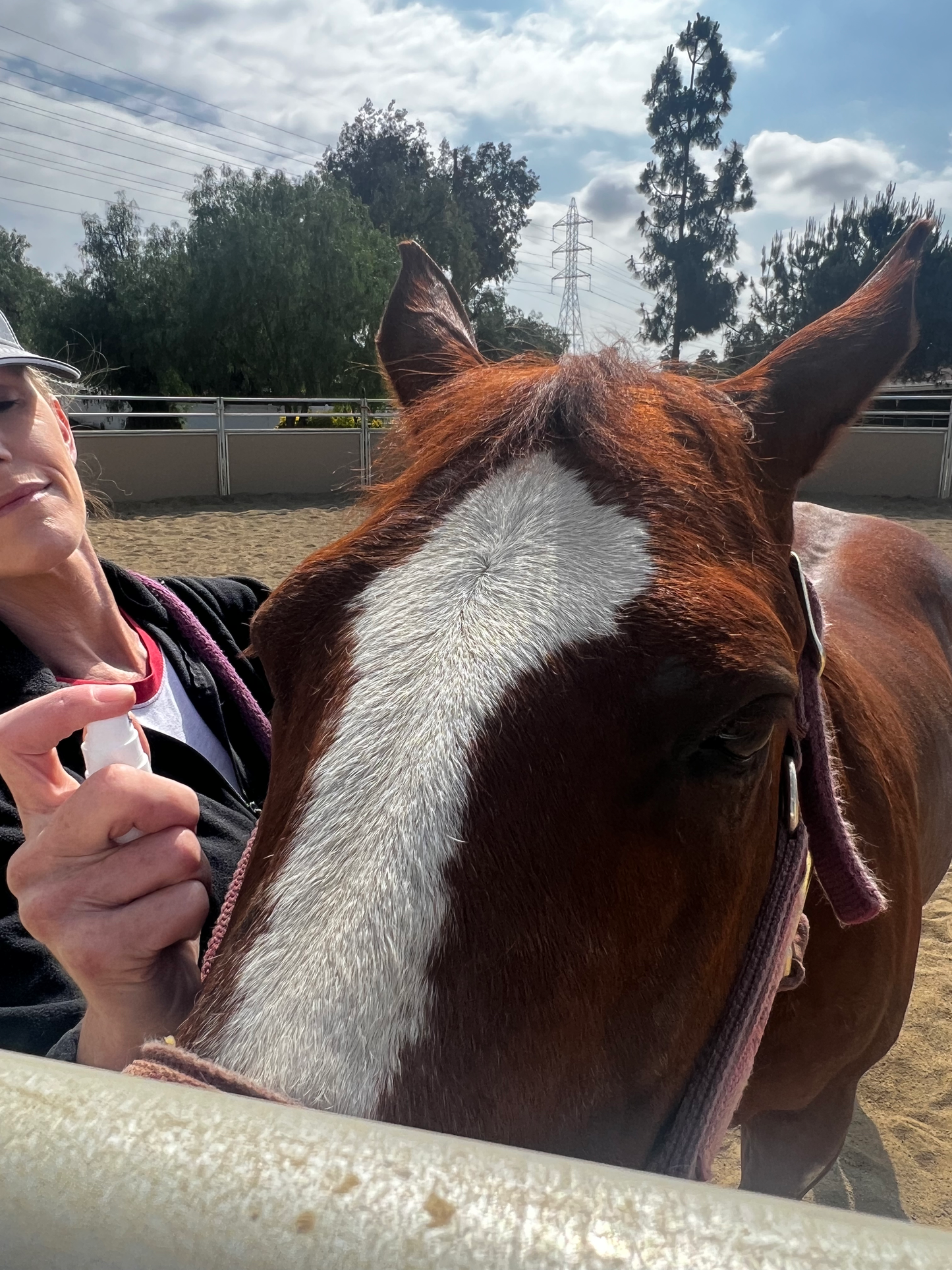 Vizoovet® Plus EQ 20ml Mist