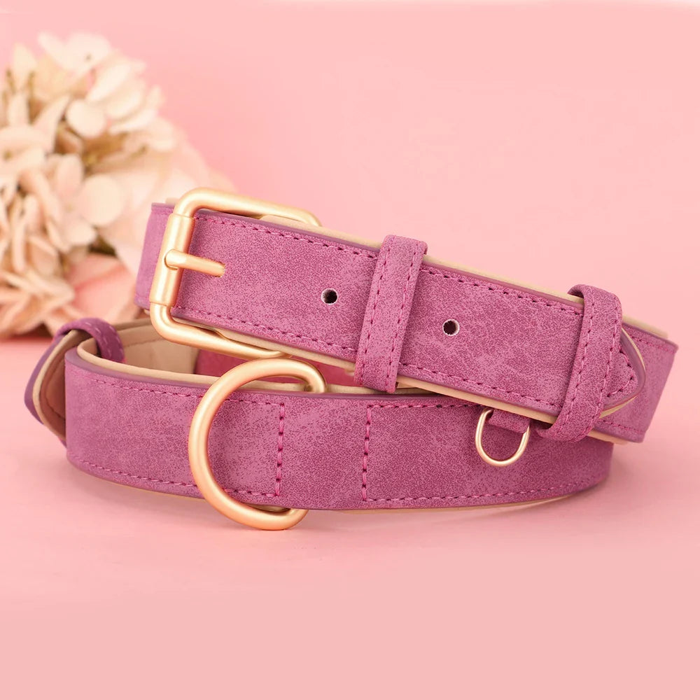 Durable Soft Padded Leather Dog Collar – Adjustable for All Sizes