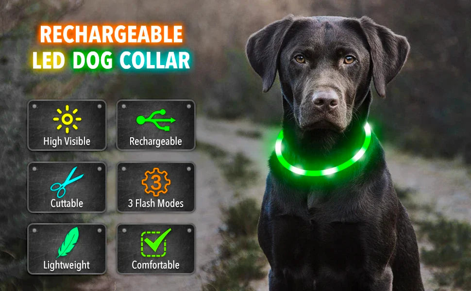 USB Rechargeable LED Glowing Dog Collar – Adjustable Night Safety