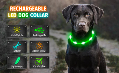USB Rechargeable LED Glowing Dog Collar – Adjustable Night Safety