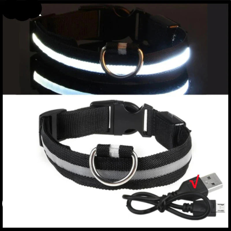 USB Rechargeable LED Glowing Dog Collar – Adjustable Night Safety
