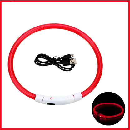 USB Rechargeable LED Glowing Dog Collar – Adjustable Night Safety