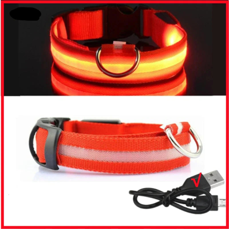 USB Rechargeable LED Glowing Dog Collar – Adjustable Night Safety