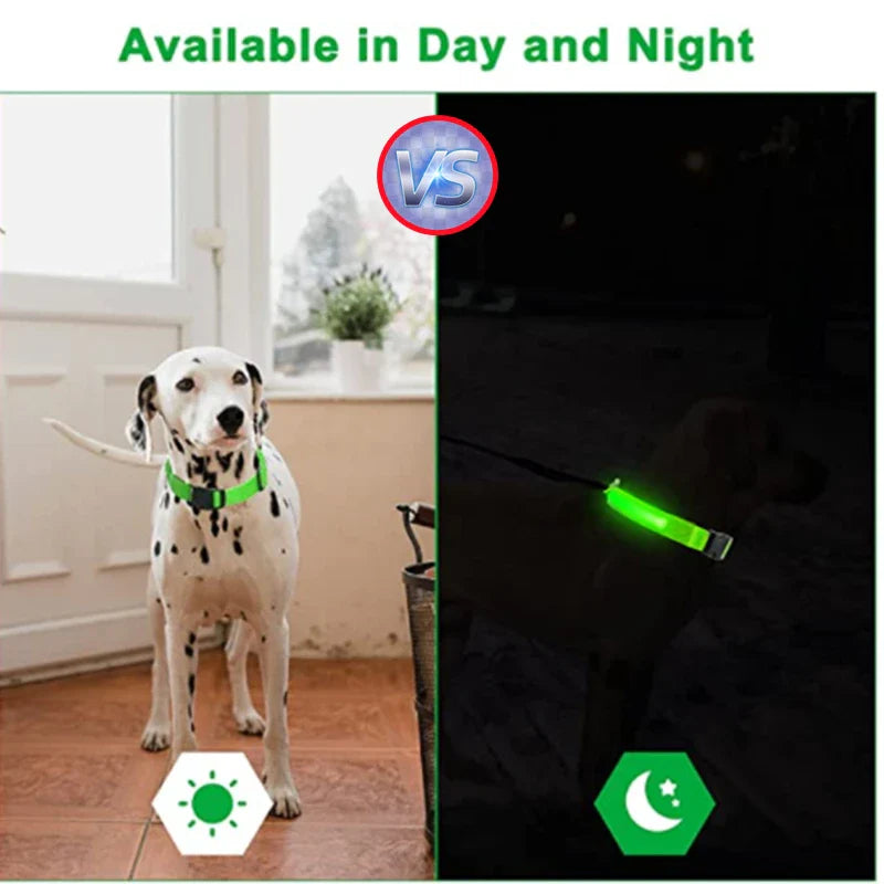 USB Rechargeable LED Glowing Dog Collar – Adjustable Night Safety