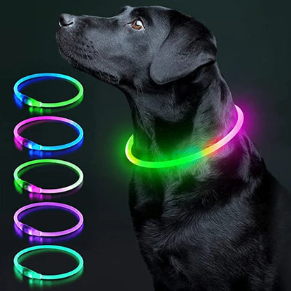 USB Rechargeable LED Glowing Dog Collar – Adjustable Night Safety