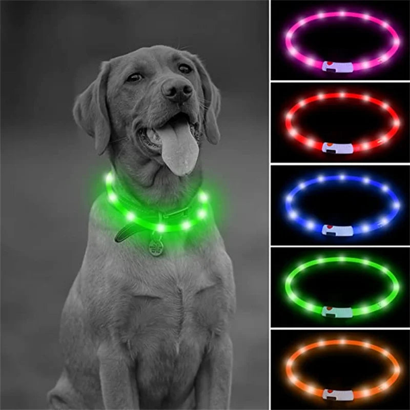 USB Rechargeable LED Glowing Dog Collar – Adjustable Night Safety