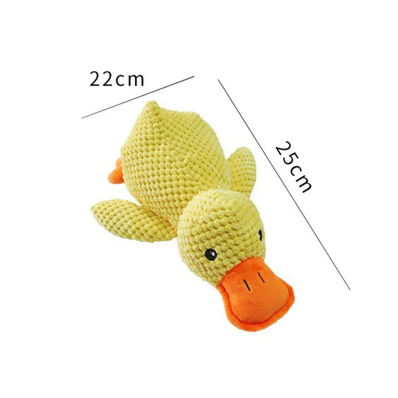 Squeaky Dog Toy – Durable Chew & Molar Toy for Small & Large Dogs