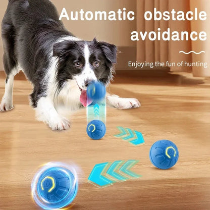 Smart Dog Toy Ball – USB Auto Bouncing Pet Toy for Dogs