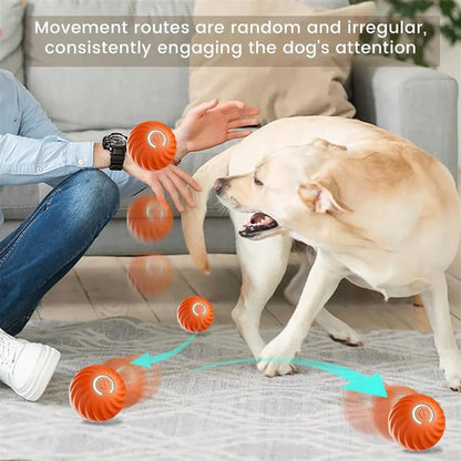 Smart Dog Toy Ball – USB Auto Bouncing Pet Toy for Dogs