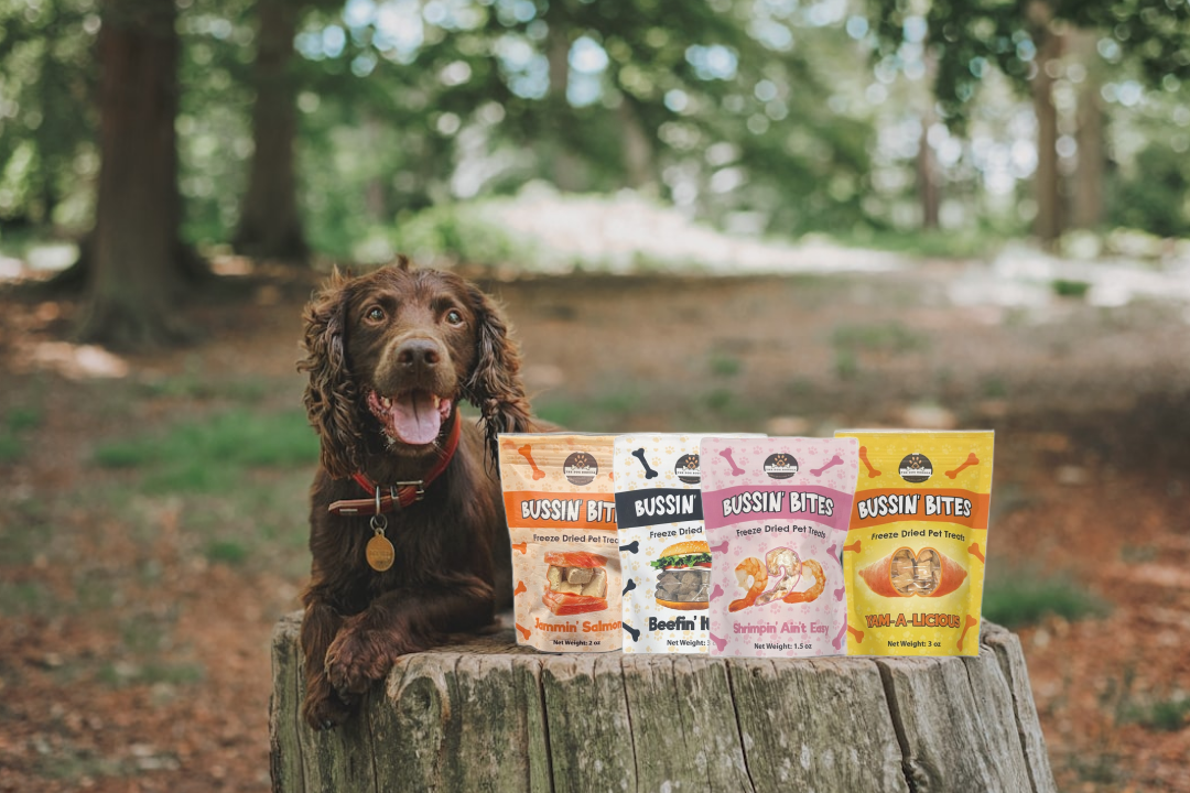 Single Ingredient, High Value Freeze-Dried Training Treats for Dogs & Cats - Shrimp
