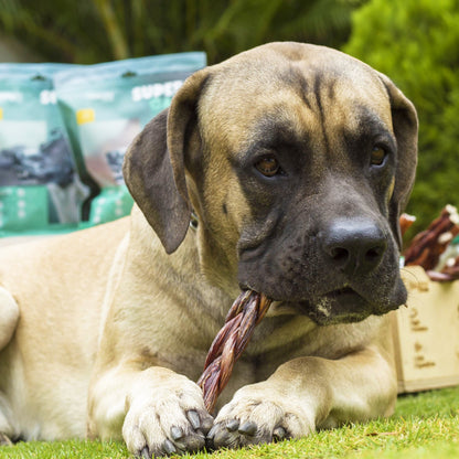 12" Beef Braided Gullet Sticks (4-Pack)