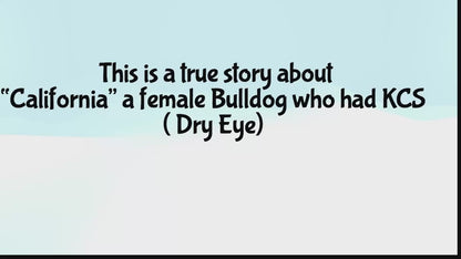 Vizoovet®Plus - Bruma Lubricante para Ojos con Hialurón. 