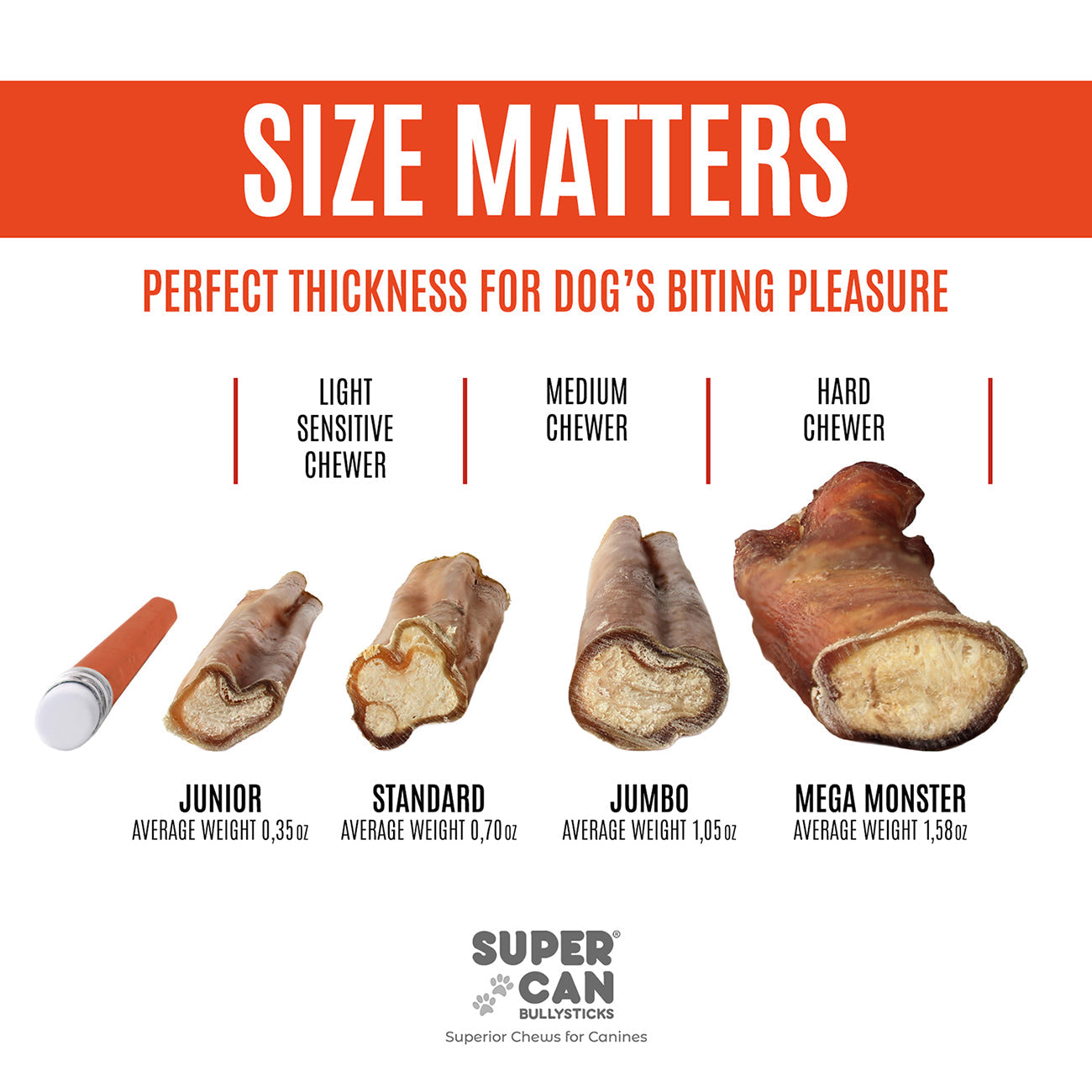 6" Jumbo Bully Sticks (10-Pack)